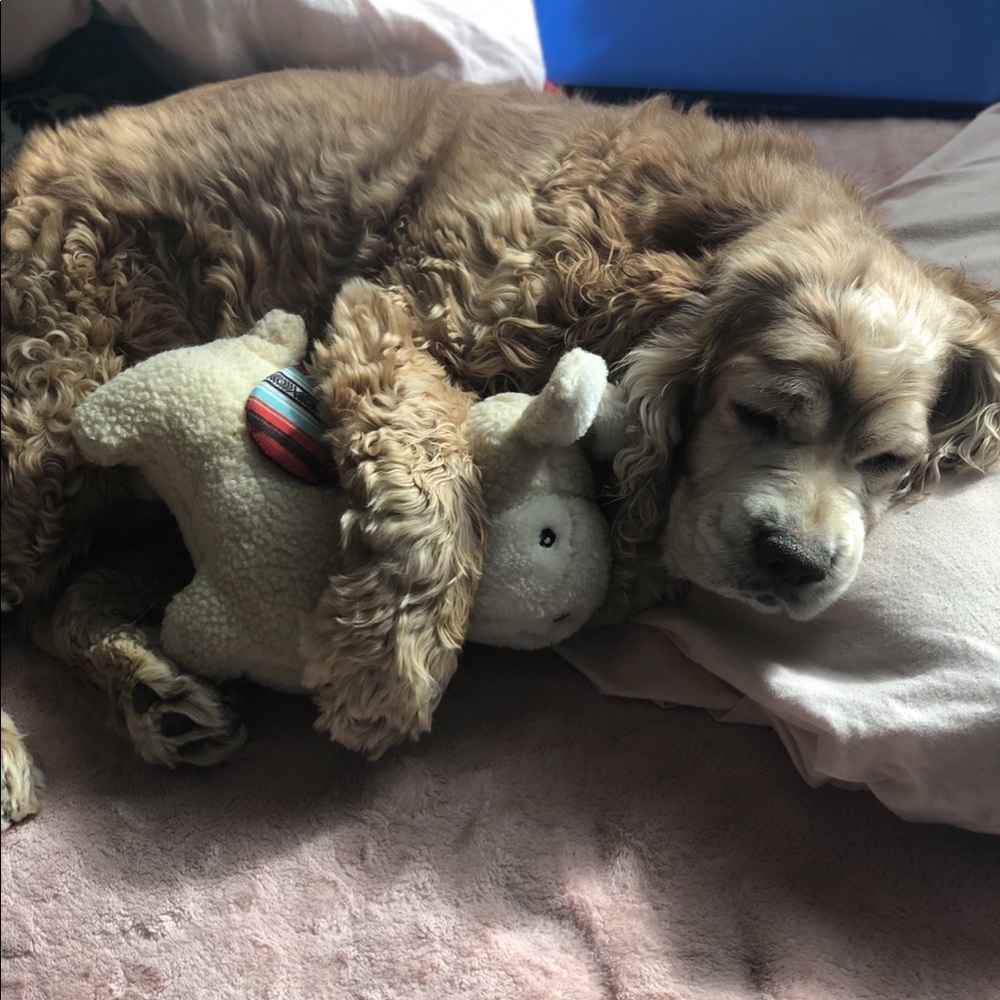 Meet your Posher, Beatriz